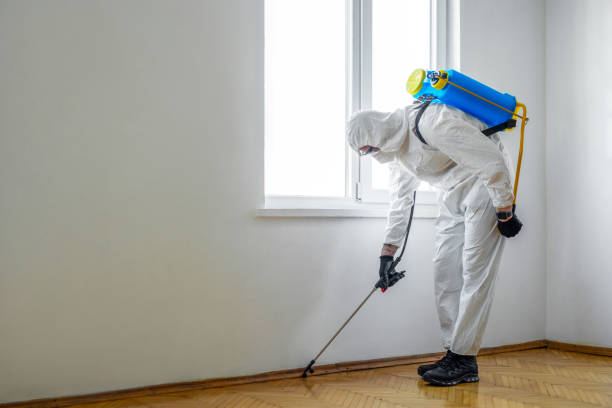 Best Residential Pest Control  in Fort Plain, NY