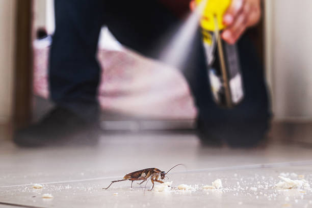 Best Residential Pest Control  in Fort Plain, NY